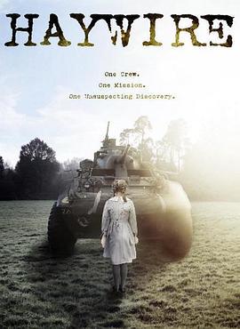 失控 Haywire (2023)海报