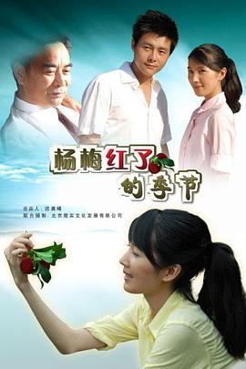 杨梅红了的季节 (2009)海报