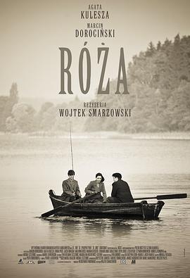 罗丝的遭遇 Róza (2011)海报