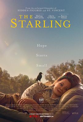 八哥 The Starling (2021)海报