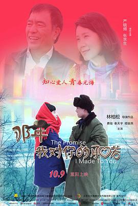 那年我对你的承诺 (2016)海报