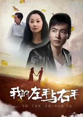 我的左手与右手 (2010)海报
