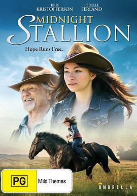 午夜种马 Midnight Stallion (2013)海报