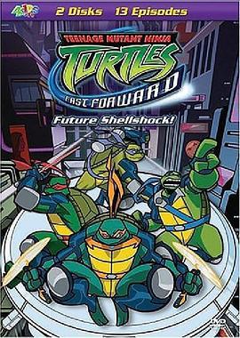 忍者神龟 第六季 Teenage Mutant Ninja Turtles Season 6 (2006)海报