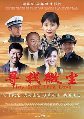 寻找微尘 (2009)海报