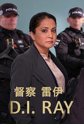 督察雷伊 第二季 DI Ray Season 2 (2023)海报