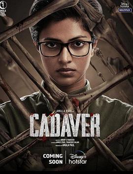 法医缉凶 Cadaver (2022)海报