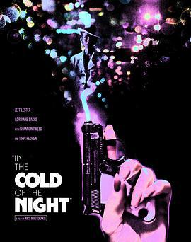 寒夜杀机 In the Cold of the Night (1990)海报