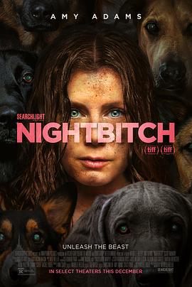 夜母 Nightbitch (2024)海报