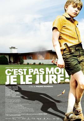 不是我，我发誓！ C'est pas moi, je le jure! (2008)海报