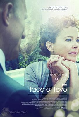 爱情的模样 The Face of Love (2013)海报