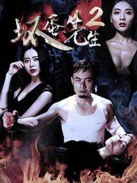 坏蛋先生2 (2017)海报
