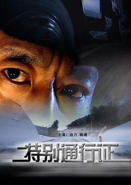 特别通行证 (2008)海报