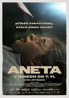 Aneta (2024)海报