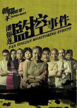潘银莲监控事件 (2016)海报
