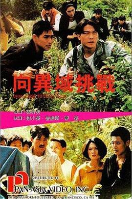 向异域挑战 向異域挑戰 (1991)海报