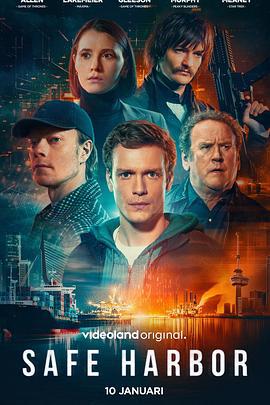 数字暗涌 Safe Harbor (2025)海报