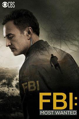 联邦调查局：通缉要犯 第一季 FBI: Most Wanted Season 1 (2020)海报