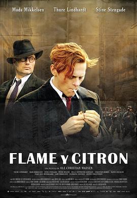 弗莱蒙与希特伦 Flammen & Citronen (2008)海报