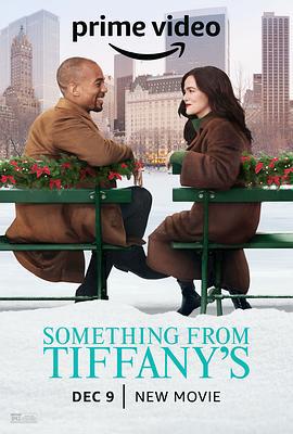 蒂芙尼的礼物 Something from Tiffany's (2022)海报