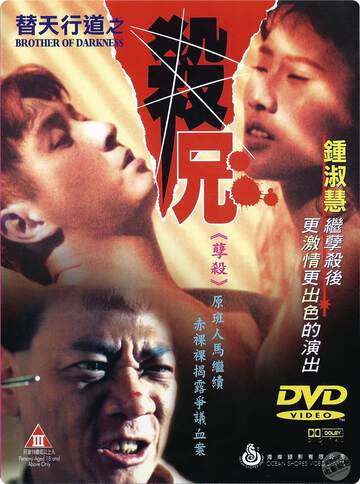替天行道之杀兄海报