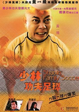 功夫老爸 (2004)海报