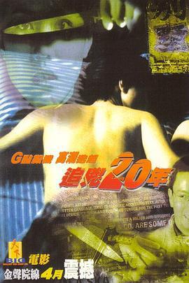 追凶二十年 追凶20年 (1998)海报