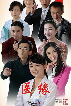 医缘 (2014)海报