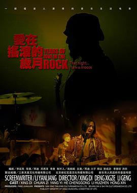 爱在摇滚的岁月 (2013)海报