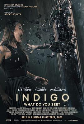 靛蓝 Indigo (2023)海报