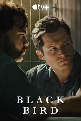 黑鸟 Black Bird (2022)海报