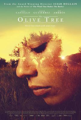 橄榄树 El olivo (2016)海报