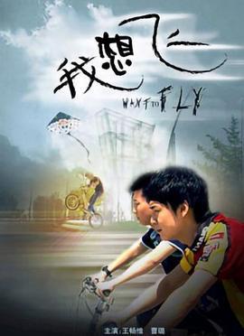 我想飞 (2008)海报