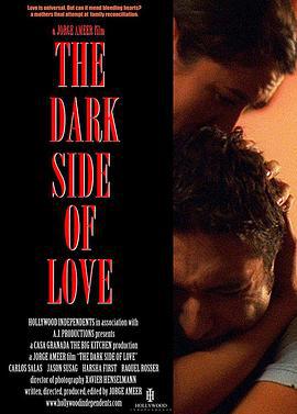 爱的阴暗面 The Dark Side of Love (2012)海报