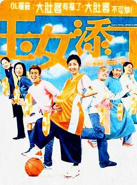玉女添丁 (2001)海报