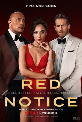 红色通缉令 Red Notice (2021)海报