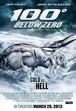 零下100度 100 Degrees Below Zero (2013)海报