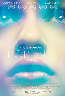 去看北极光 Borealis (2015)海报