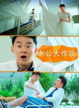 老公大作战 (2016)海报
