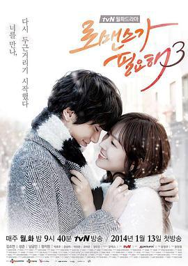 需要浪漫3 로맨스가 필요해3 (2014)海报