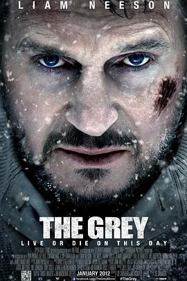 人狼大战 The Grey (2012)海报