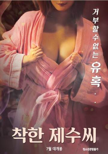 善良的弟妹海报