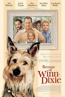 都是戴茜惹的祸 Because of Winn-Dixie (2005)海报