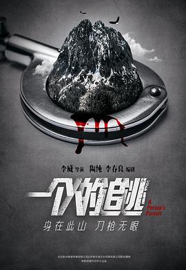一个人的追逃 (2013)海报