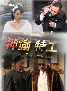 神偷特工 (2013)海报