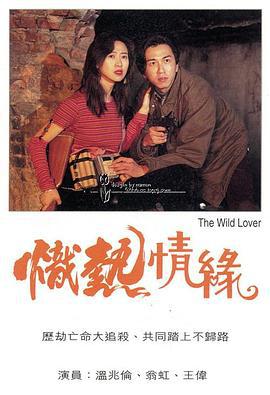 炽热情缘 (1995)海报