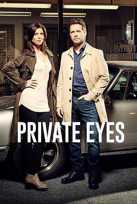 私家侦探 第二季 Private Eyes Season 2 (2017)海报