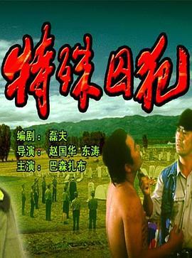 特殊囚犯 (1995)海报