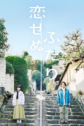无法相恋的两人 恋せぬふたり (2022)海报