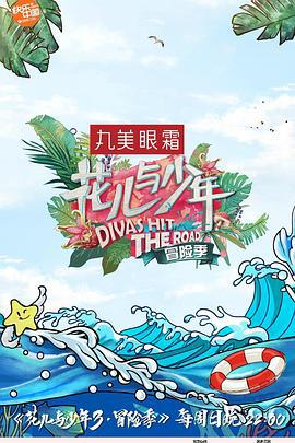 花儿与少年 第三季 (2017) plus海报